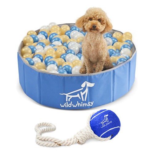 Dog ball pit - pit, pack